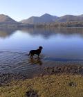 Enjoying Derwent Water.