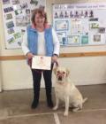 Bentley has just received his Crufts Bronze award.