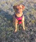 A frosty morning walk on her 3rd birthday!
