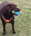 3 balls at once