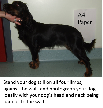 photograph_body_side